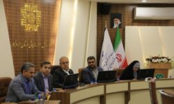 تکمیل سرانه رشد درآمدی استان، مسیر توسعه را هموار می کند