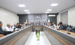 مدیرکل کتابخانه های عمومی هرمزگان در جلسه انجمن کتابخانه های عمومی سیریک؛