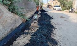 اقدامات گسترده شهرداری میناب در خصوص مبارزه با پشه آئدس