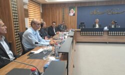 مهندس صادقی‌پور: توسعه گردشگری دریایی، مسیر پایدار رونق اقتصادی در بندر خمیر است