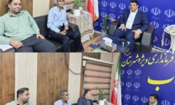 بررسی مسائل و مشکلات شهر زهوکی در دیدار فرماندار میناب با مسئولان محلی