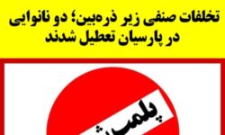 تخلفات صنفی زیر ذرهبین؛ دو نانوایی در پارسیان تعطیل شدند