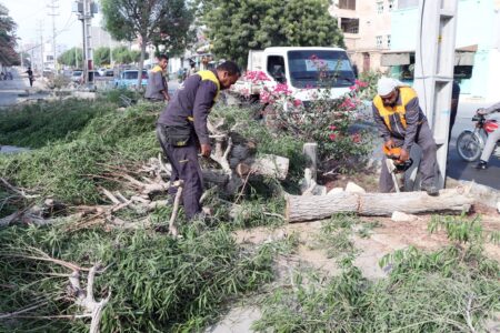 گذری بر عملکرد واحد خدمات شهری شهرداری قشم در هفته‌ گذشته