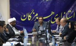 تاکید معاون استاندار هرمزگان بر استقرار ادارات دولتی در سیریک و بشاگرد