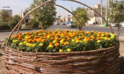 خلاقیت و نو آوری در توسعه فضای سبز شهر رودان