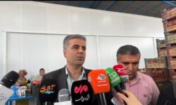 جهش صنایع تبدیلی در هرمزگان؛ از کاهش ضایعات کشاورزی تا تحول در بستهبندی و صادرات