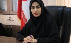 وضعیت فعالیت نانواییها و توزیع کالاهای اساسی به صورت پایدار در حال انجام است