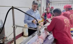 فعالیت بی وقفه کشتارگاههای طیور هرمزگان در عرضه روزانه بالغ بر ۱۲۰ تن گوشت مرغ
