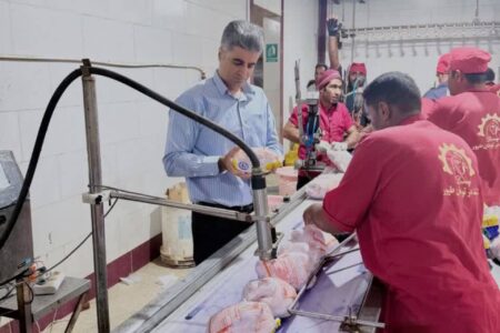 فعالیت بی وقفه کشتارگاههای طیور هرمزگان در عرضه روزانه بالغ بر ۱۲۰ تن گوشت مرغ