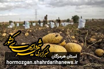 اهدای ۱۰ تن تره‌بار به رزمندگان و آسیب دیدگان جنگ تحمیلی در بندرلنگه