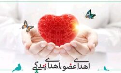 اولین جانآفرین سال ۱۴۰۵ در هرمزگان؛ جوان ۲۲ سالهای که به ۳ نفر جان بخشید