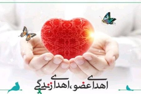 اولین جان‌آفرین سال ۱۴۰۵ در هرمزگان؛ جوان ۲۲ ساله‌ای که به ۳ نفر جان بخشید