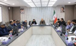 بازار استان از نظر تأمین کالا مشکلی ندارد/ پیگیری مجوز واردات لوازم خانگی مورد نیاز مردم