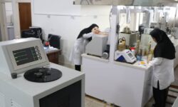 گوهر آزمای خلیج فارس، نخستین شرکت دانشبنیان شرکتهای زیرمجموعه فولاد هرمزگان