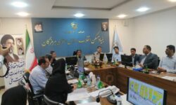 طرح هادی روستاهای ۵ شهرستان هرمزگان بررسی و تصویب شد