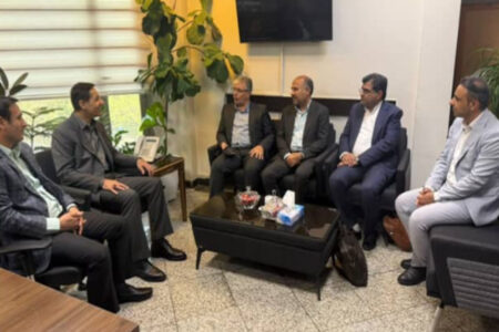 دیدار شهردار رودان با معاون امور شهری شهرداری‌های کشور