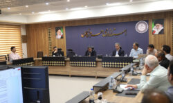 ساماندهی کشتارگاههای دام و طیور هرمزگان بررسی شد